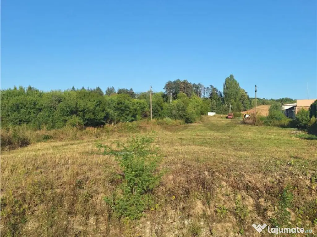 Reco, Parcel? de teren suprafata mare Alesd 