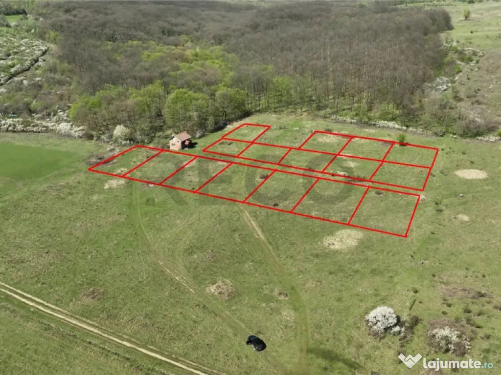 RECO , teren intravilan, Ineu,Bihor 