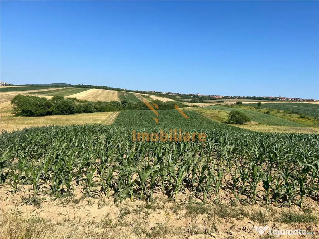 TEREN INTRAVILAN 2877 MP | DUBLU FRONT | CORDAU