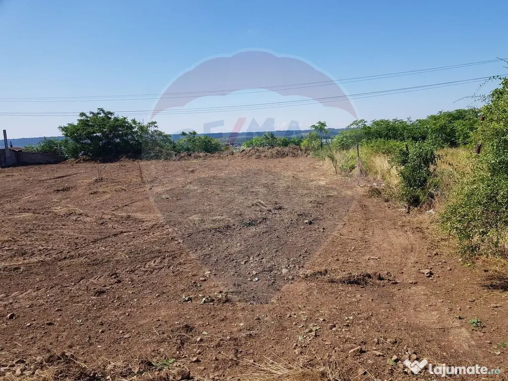 Teren de vanzare in Schela Cladovei, 1760 MP, Intravilan 