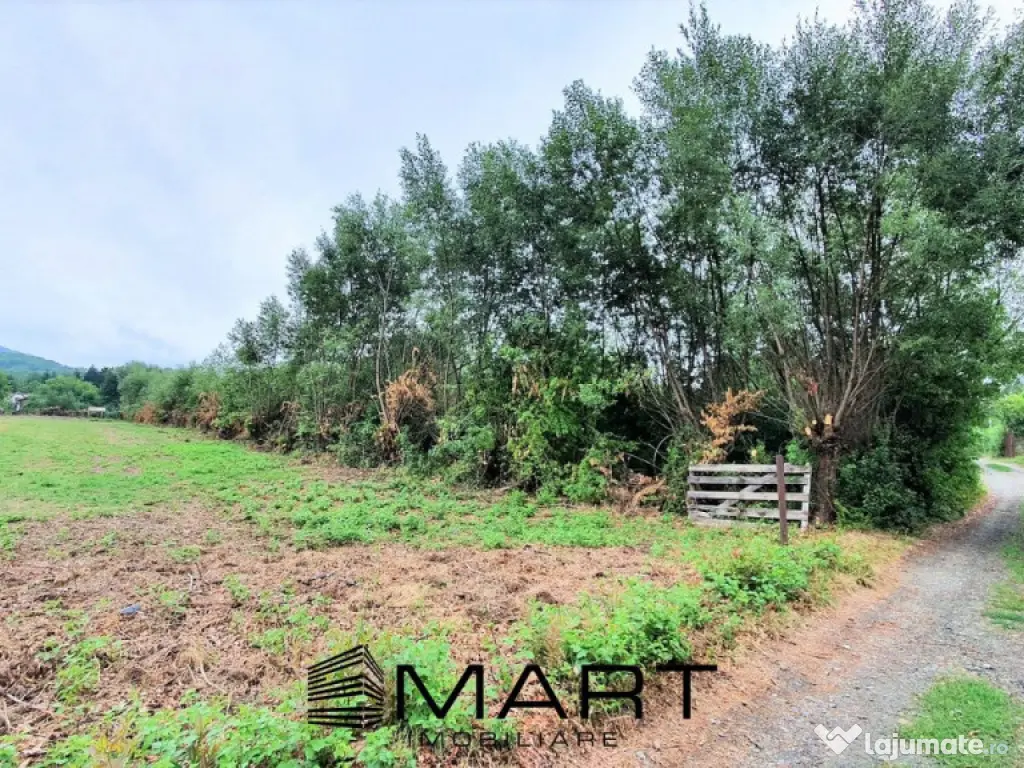 Teren intravilan 1700 mp Tocile de Sus 