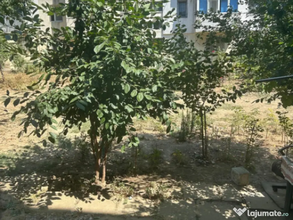 Apartament 2 camere zona Groapă 