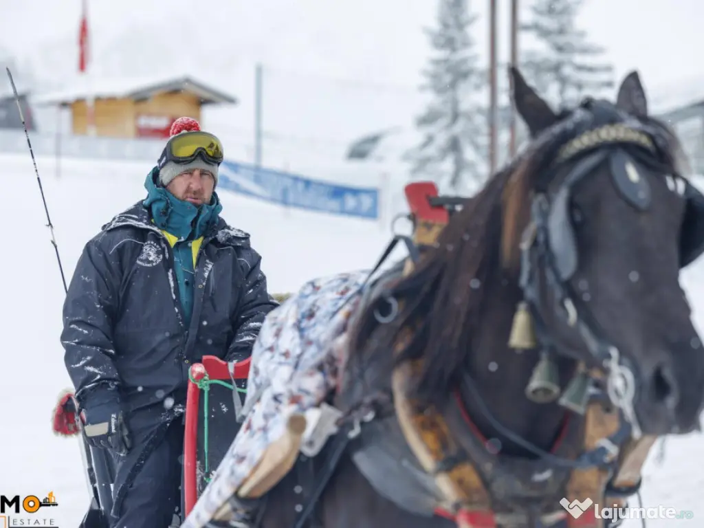 Teren cu Certificat Urbanism 