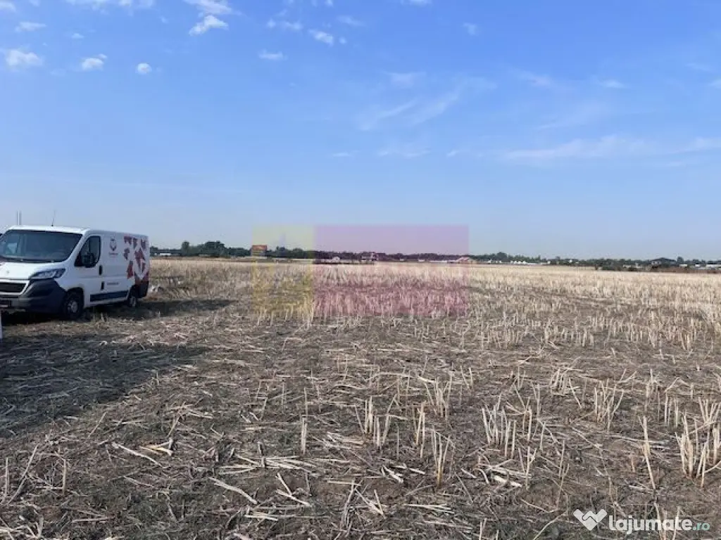 Teren Domnesti strada Ciocarliei. 