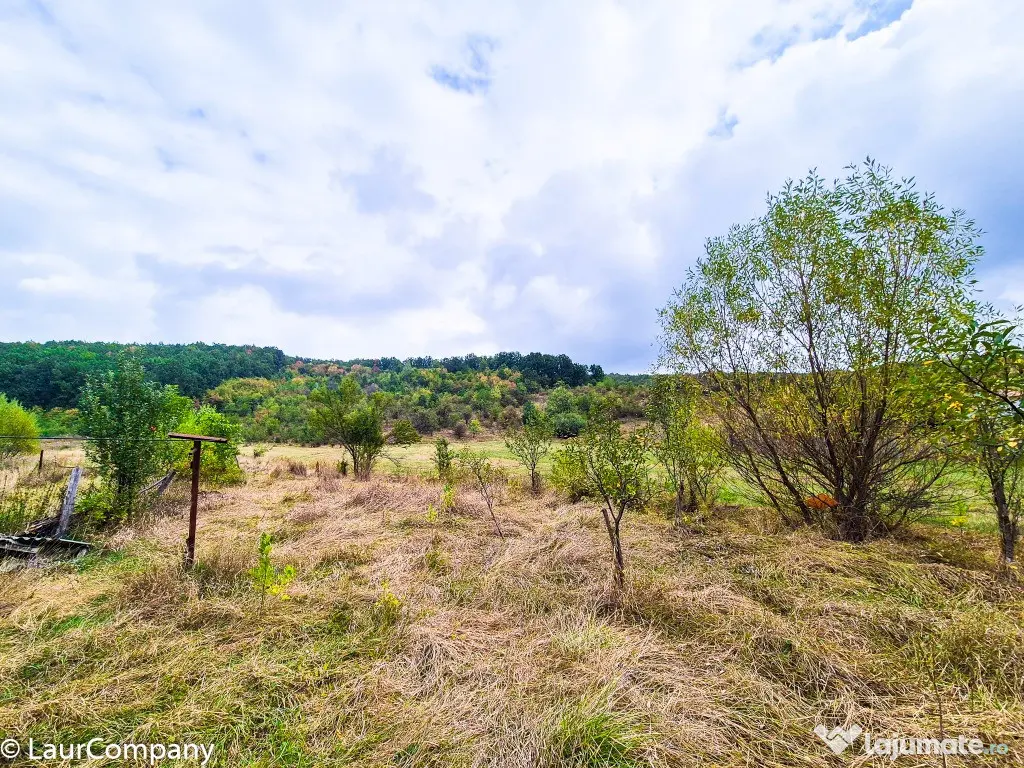 Teren 1,4 hectare Draganu Arges