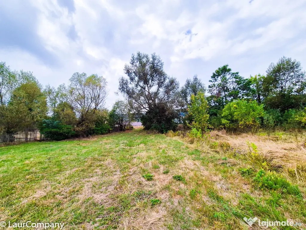 Teren 1,4 hectare Draganu Arges