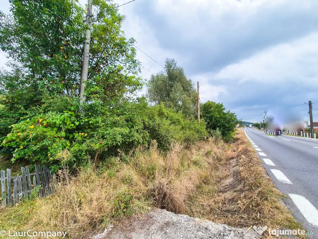 Teren 1,4 hectare Draganu Arges