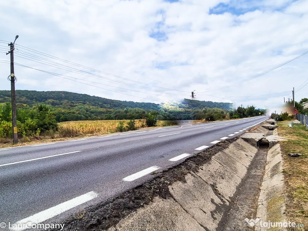 Teren 1,4 hectare Draganu Arges