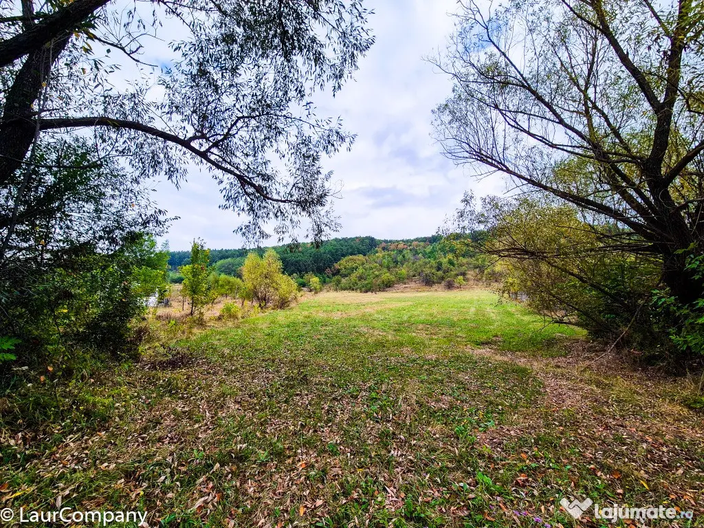 Teren 1,4 hectare Draganu Arges