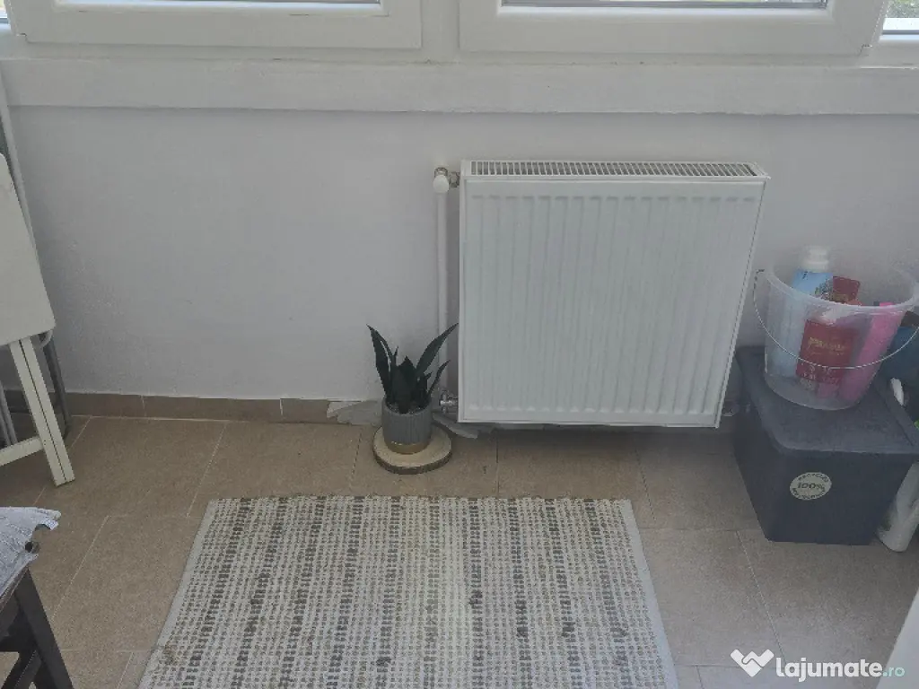 Vand apartament 2 camere in Deva, Piata Centrala, dec. parter 