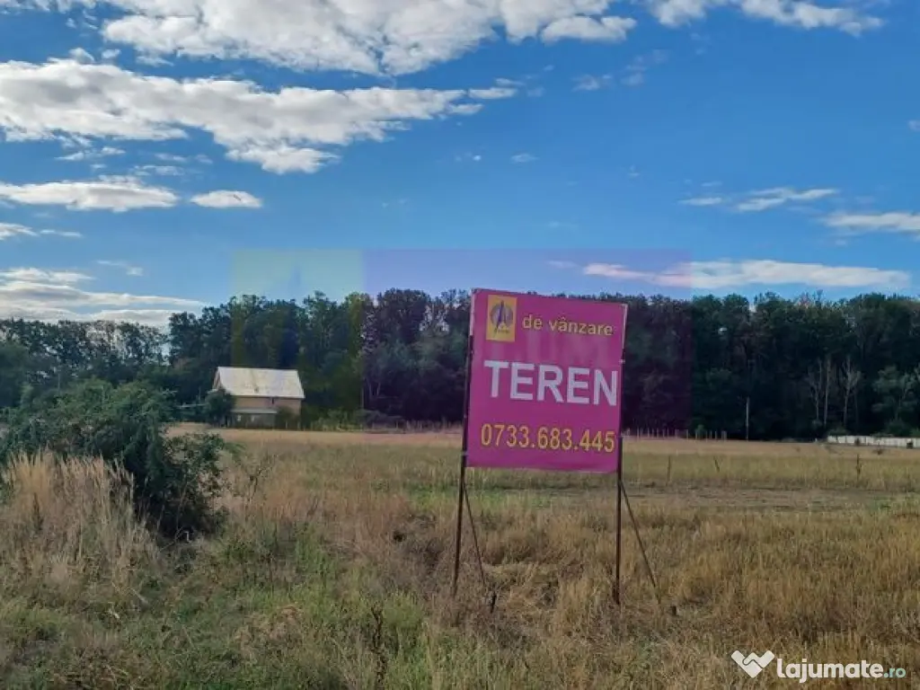 Gulia teren 11.157 mp, lângă Pădurea Cereanca 