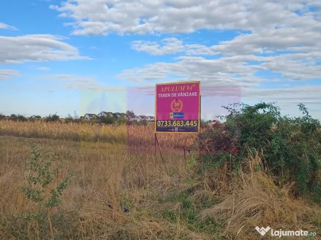 Gulia teren 11.157 mp, lângă Pădurea Cereanca 