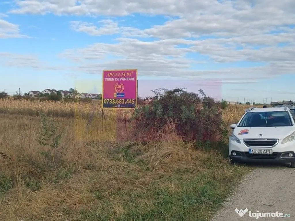 Gulia teren 11.157 mp, lângă Pădurea Cereanca 