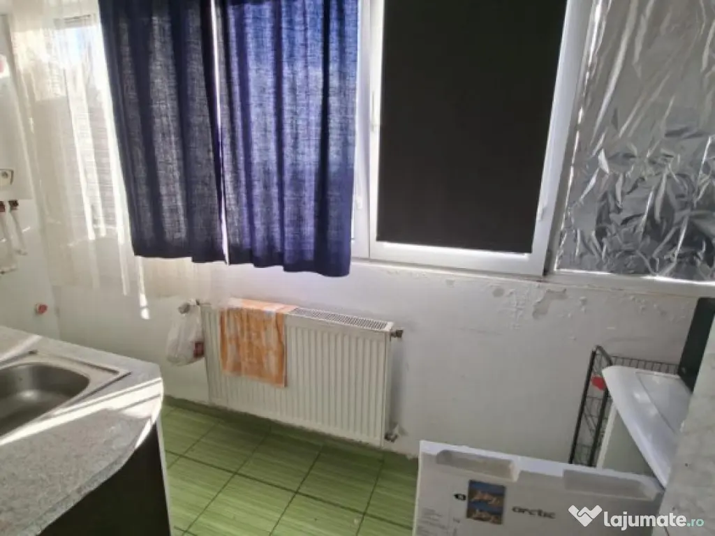 Ap 2 Cam Berceni- Leonida 