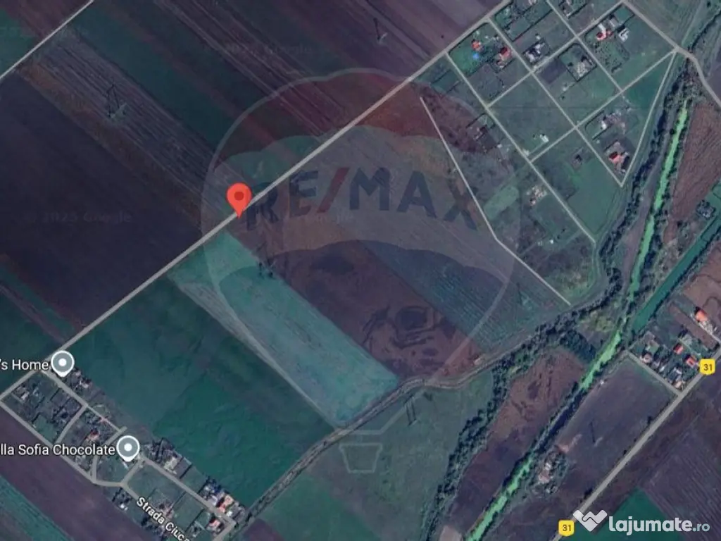 Teren 10.875 MP | Hălchiu | Jud. Brasov 