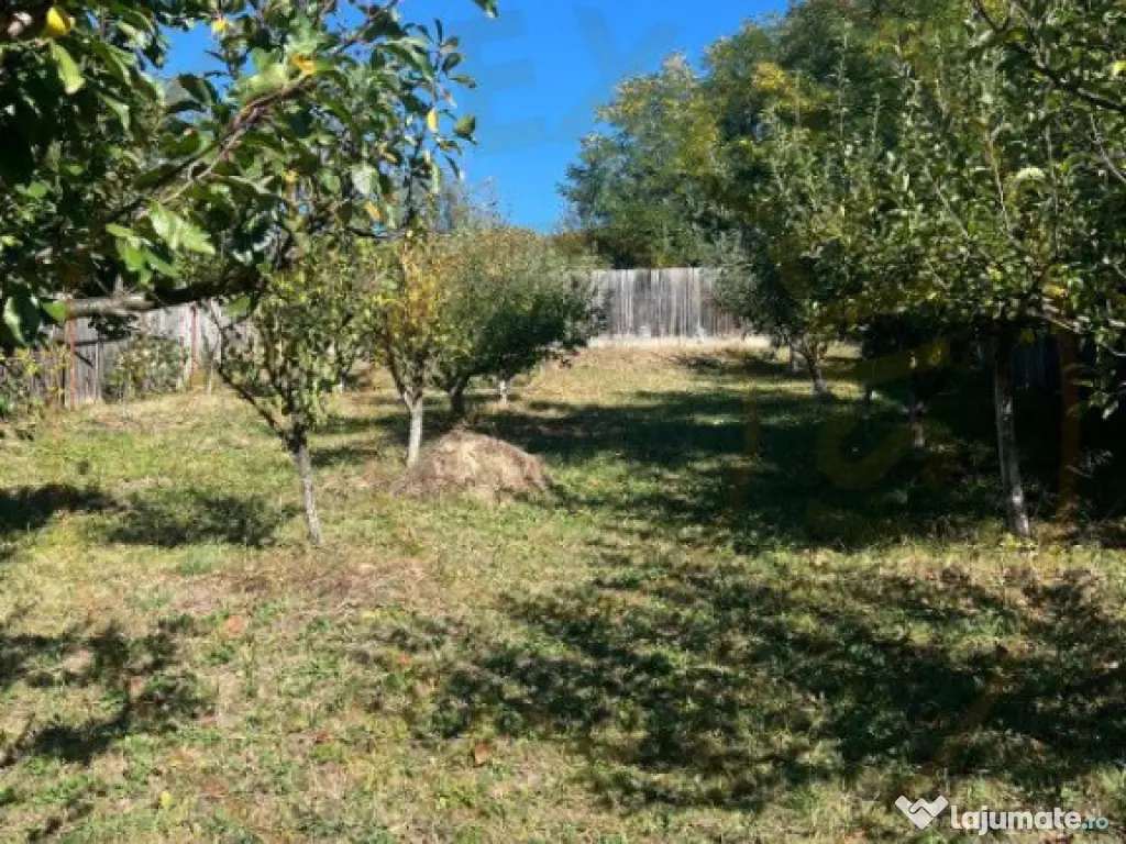 Teren 1128 intravilan + Casa batraneasca Darmanesti Arges