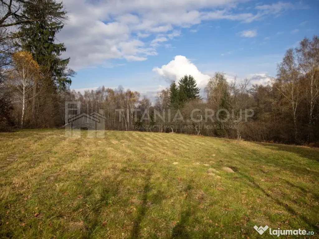 Teren intravilan, cu PUZ, Bran Tohanita, SE ACCEPTĂ ȘI ... 