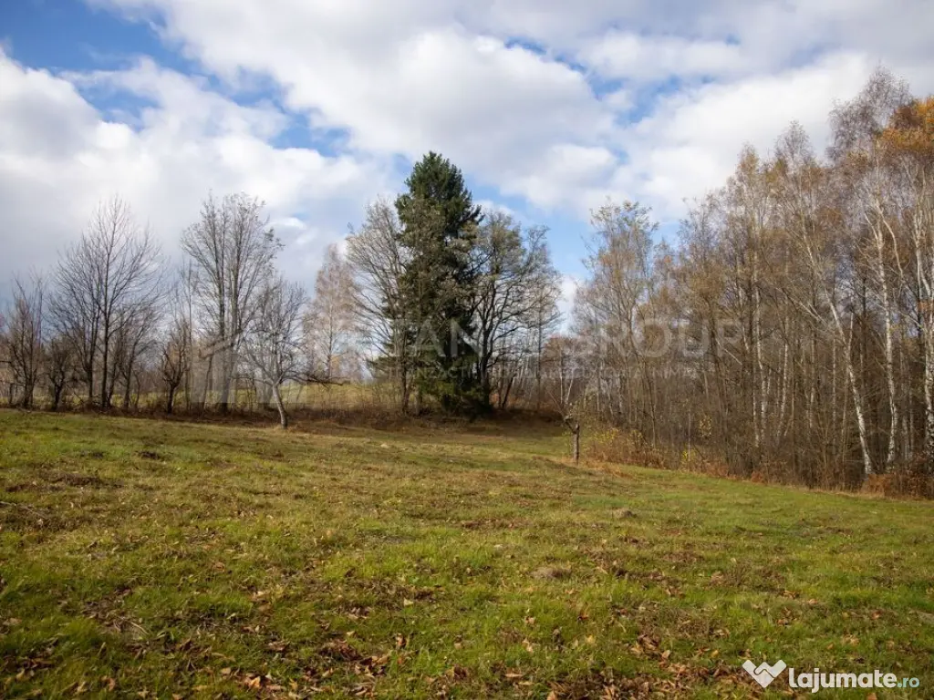 Teren intravilan, cu PUZ, Bran Tohanita, SE ACCEPTĂ ȘI ... 