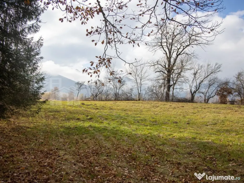 Teren intravilan, cu PUZ, Bran Tohanita, SE ACCEPTĂ ȘI ... 