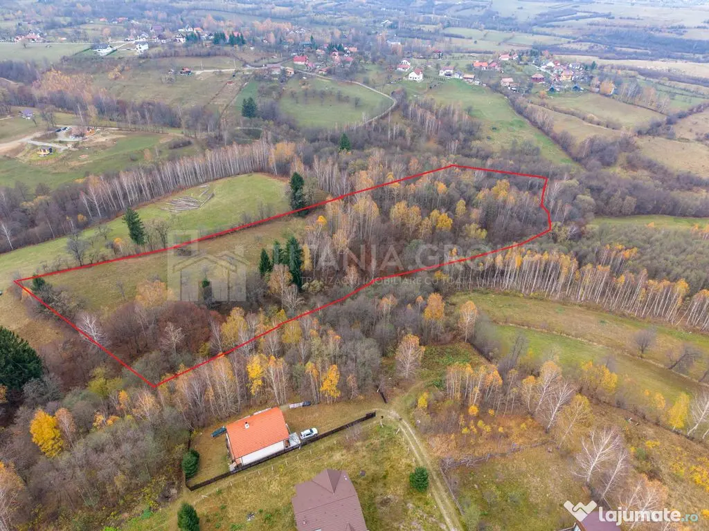 Teren intravilan, cu PUZ, Bran Tohanita, SE ACCEPTĂ ȘI ... 