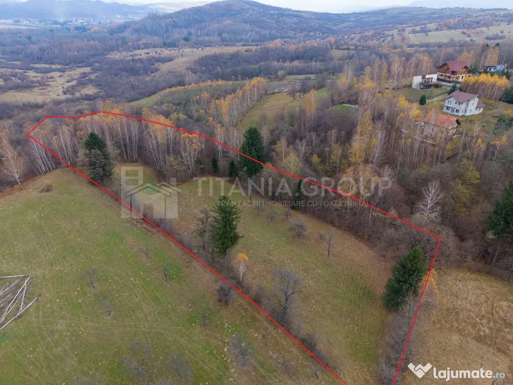 Teren intravilan, cu PUZ, Bran Tohanita, SE ACCEPTĂ ȘI ... 