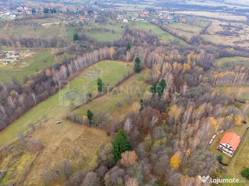 Teren intravilan, cu PUZ, Bran Tohanita, SE ACCEPTĂ ȘI ... 