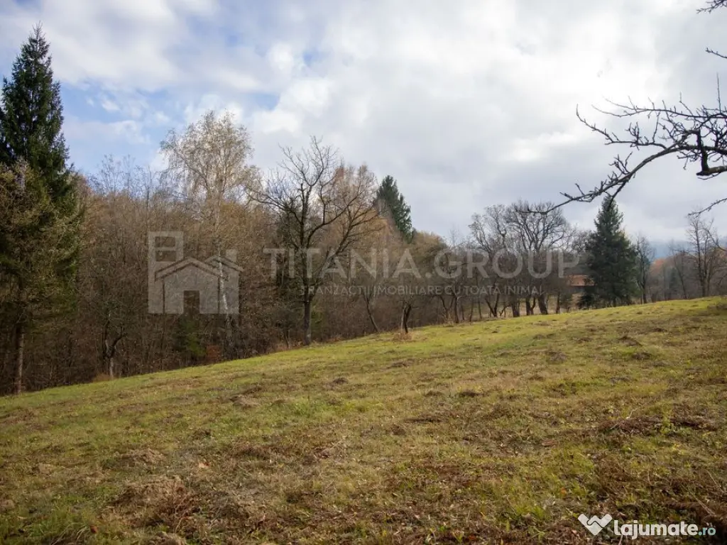 Teren intravilan, cu PUZ, Bran Tohanita, SE ACCEPTĂ ȘI ... 