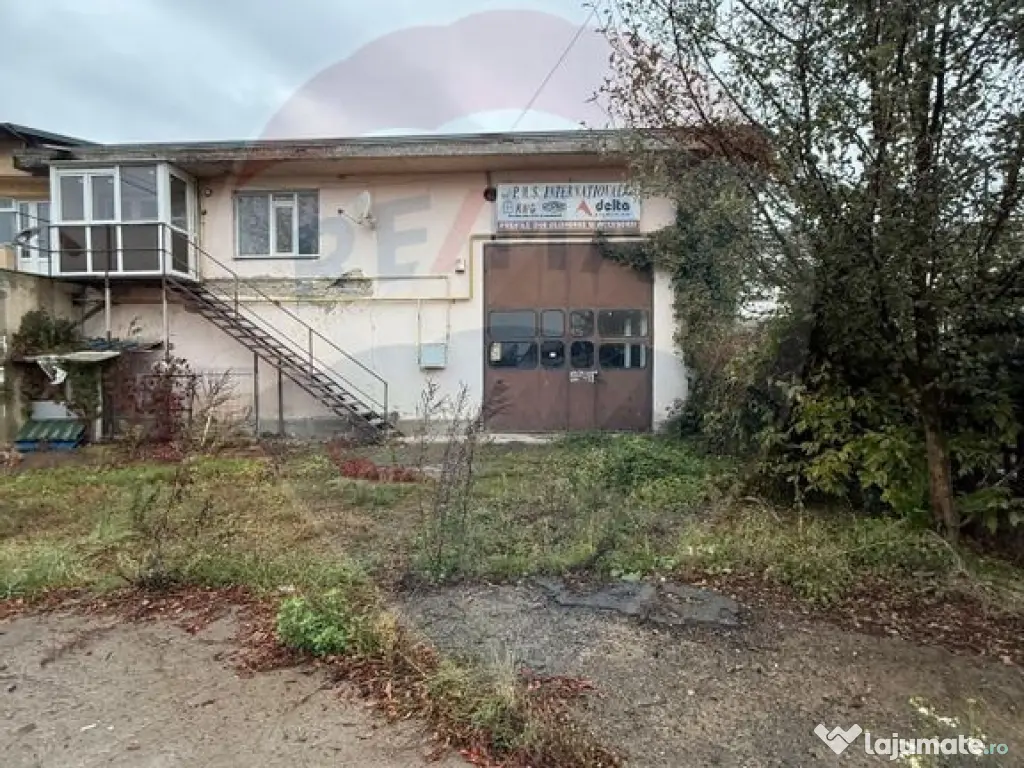 Hala - zona KAUFLAND Burdujeni 