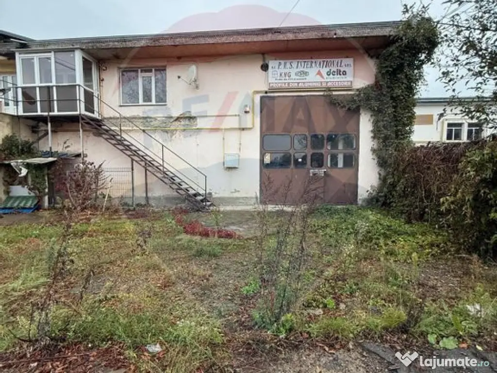 Hala - zona KAUFLAND Burdujeni 