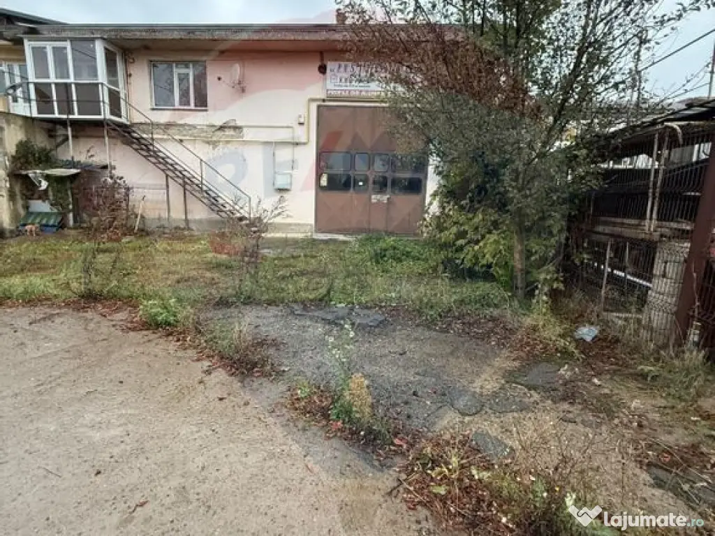 Hala - zona KAUFLAND Burdujeni 