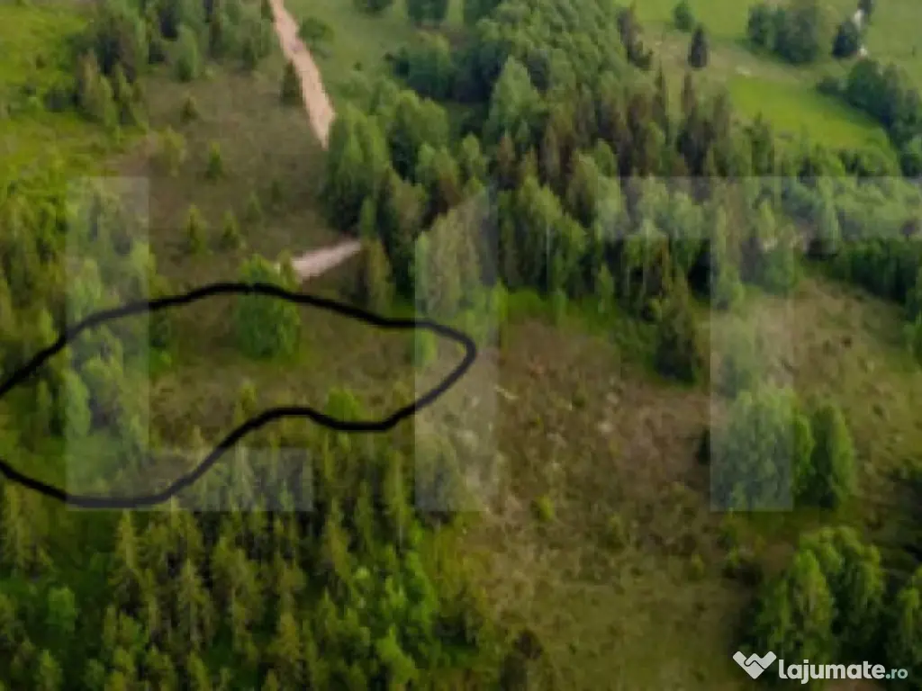 Teren intravilan 3120 mp – Munții Apuseni, Sohodol (com.