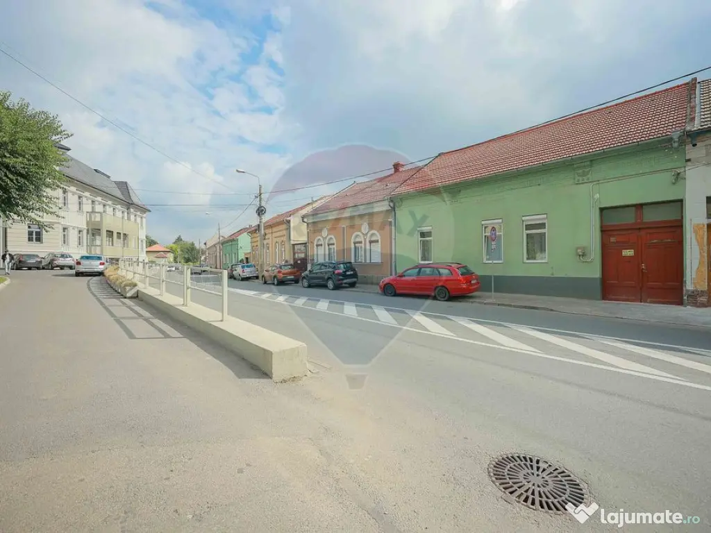 Casă / Vilă cu 4 camere de vânzare Ultracentral Str. L...