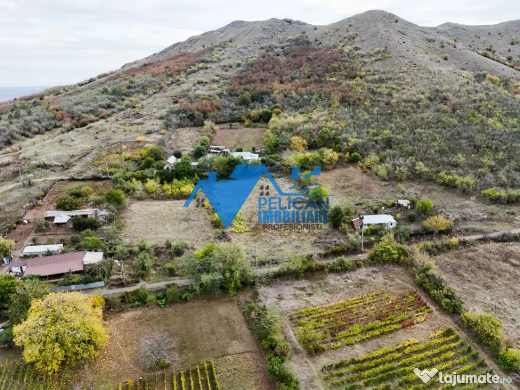 Teren intravilan NICULITEL, zona deosebita, 3044MP 