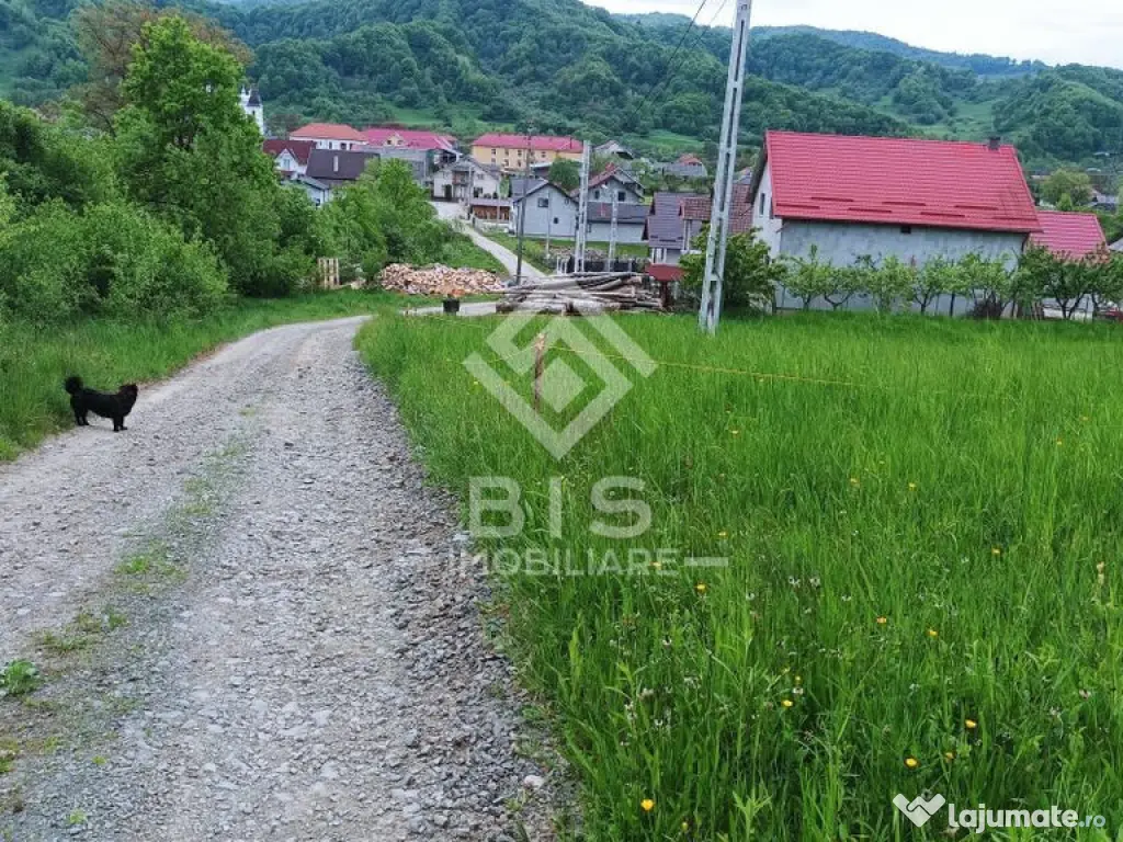 Teren 37.5 ari intravilan