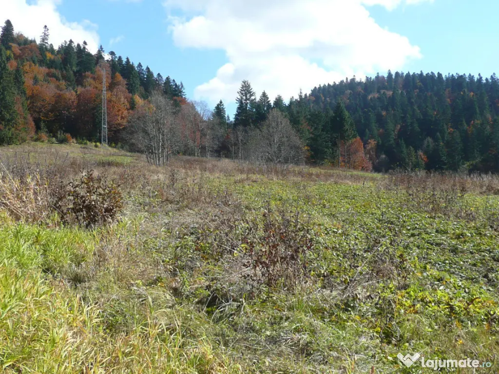 Predeal-Teren intravilan situat in Paraul Rece 