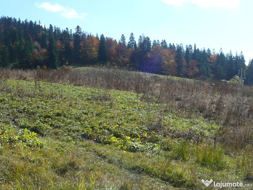 Predeal-Teren intravilan situat in Paraul Rece 