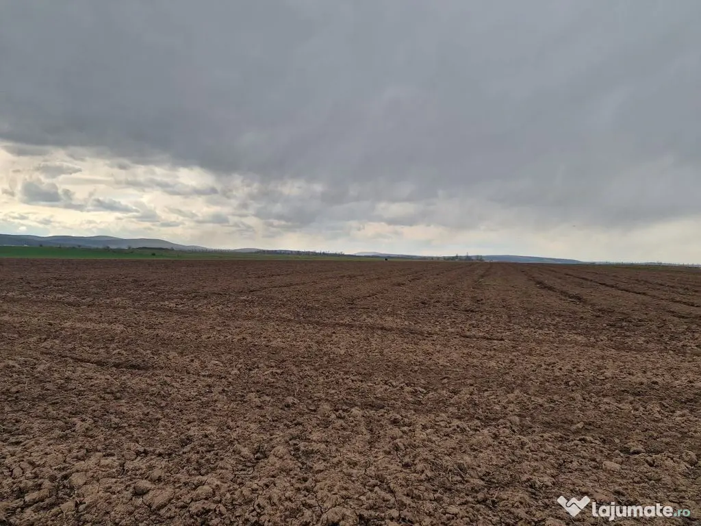 Teren 10,000mp Bacau / Strada Alexandru Safran 