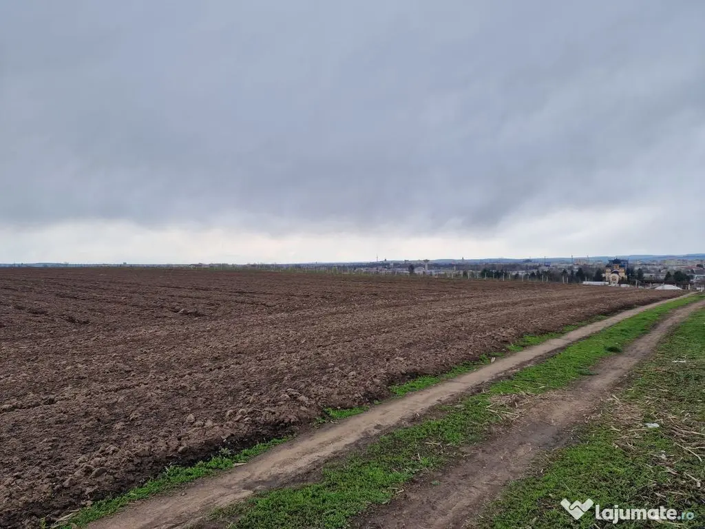 Teren 10,000mp Bacau / Strada Alexandru Safran 