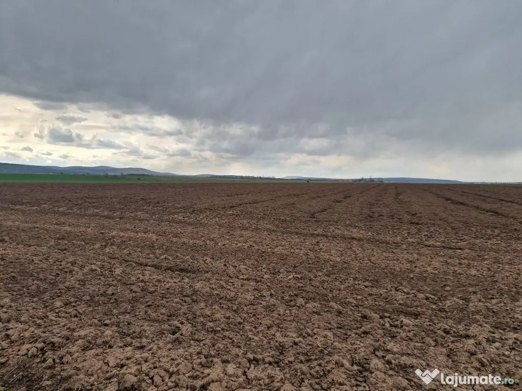 Teren 10,000mp Bacau / Strada Alexandru Safran 