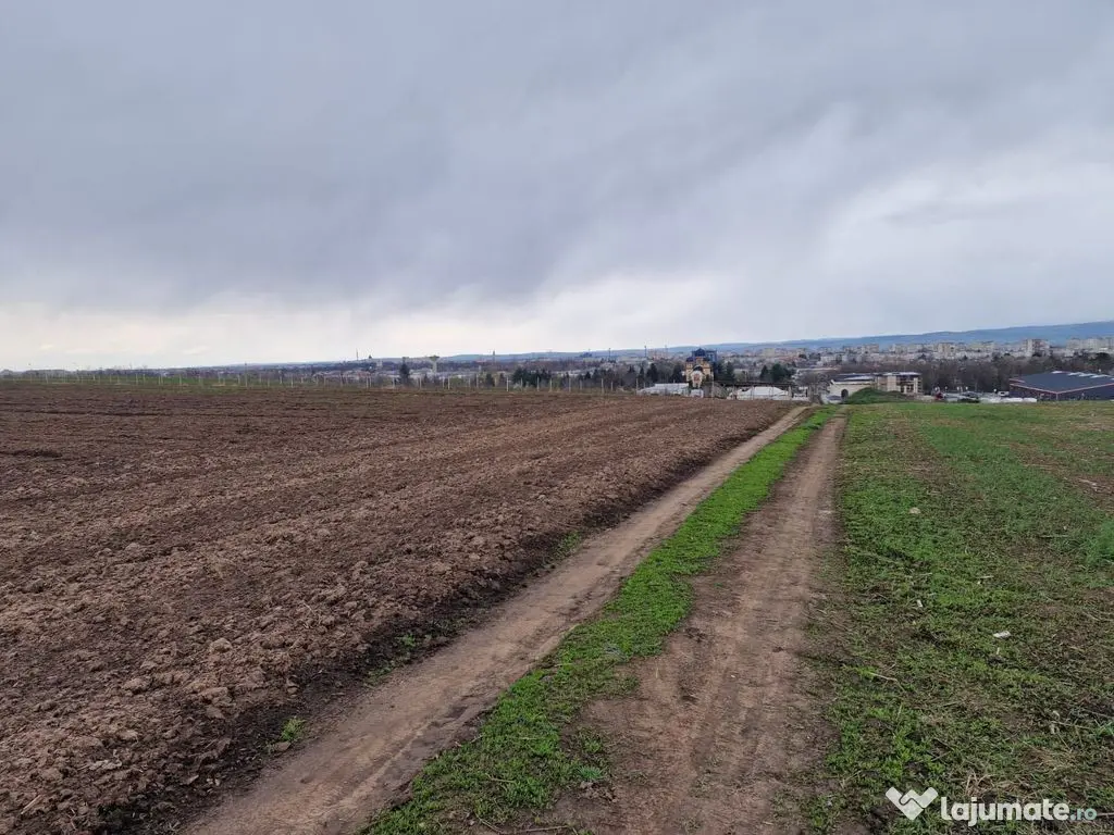 Teren 10,000mp Bacau / Strada Alexandru Safran 
