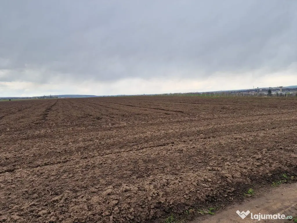 Teren 10,000mp Bacau / Strada Alexandru Safran 