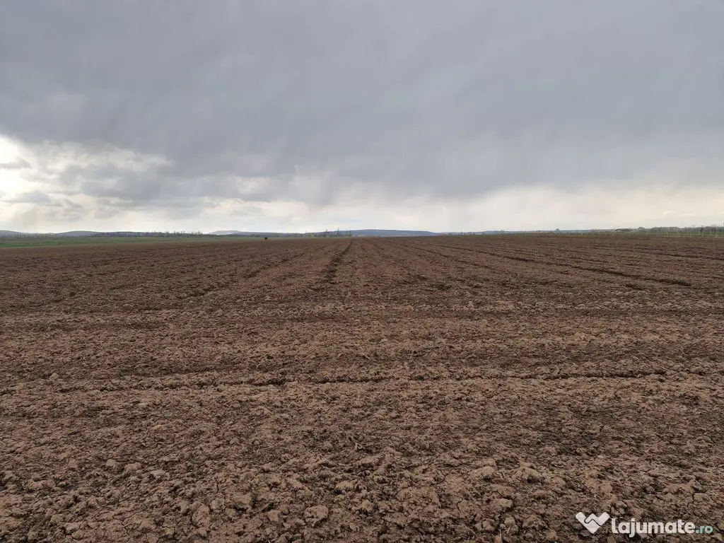 Teren 10,000mp Bacau / Strada Alexandru Safran 