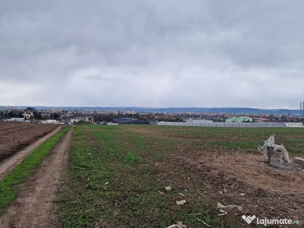 Teren 10,000mp Bacau / Strada Alexandru Safran 