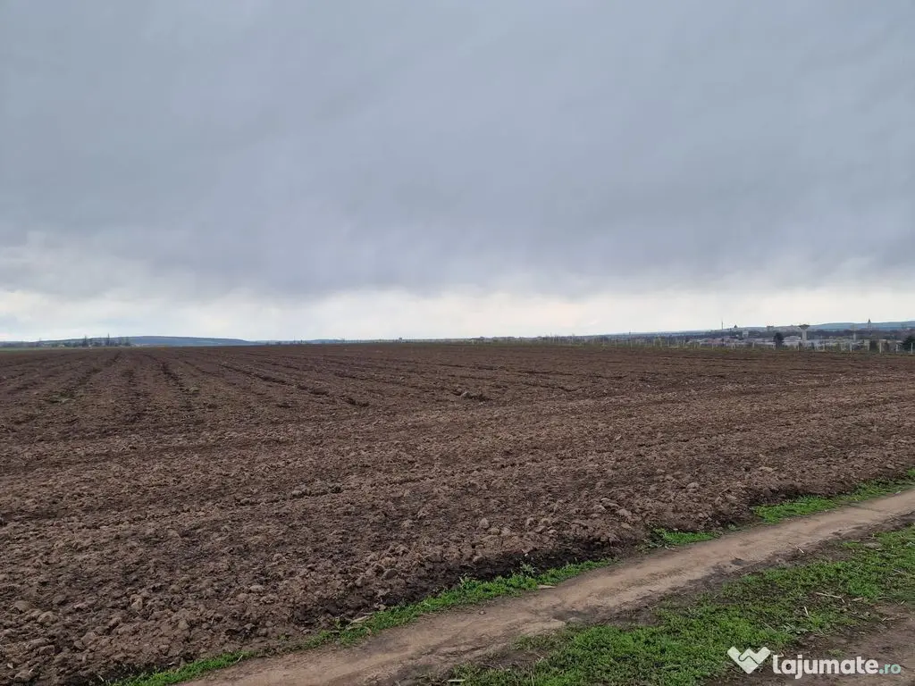 Teren 10,000mp Bacau / Strada Alexandru Safran 