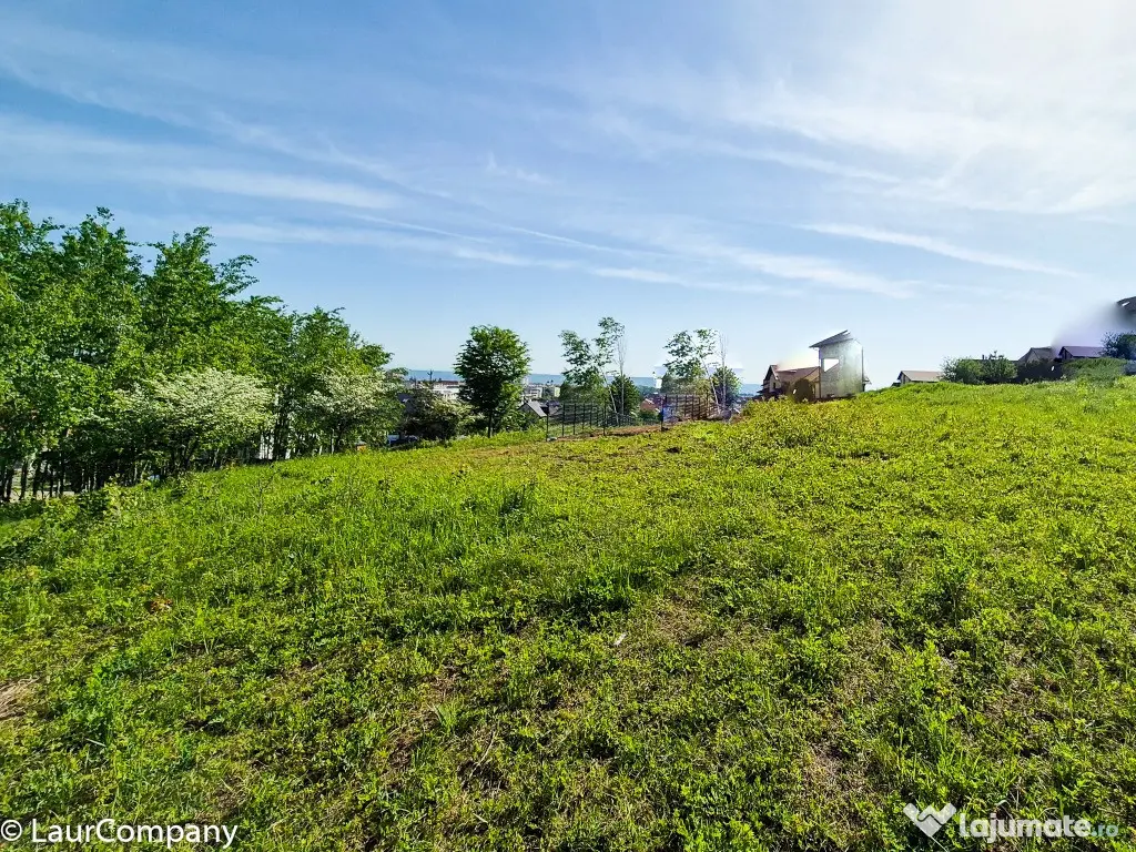 Teren intravilan Trivale Pitesti