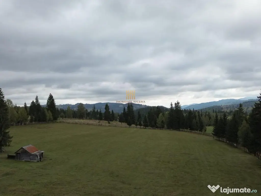 Teren 2804 mp, la munte! In Bucovina – Fundu Moldovei! 