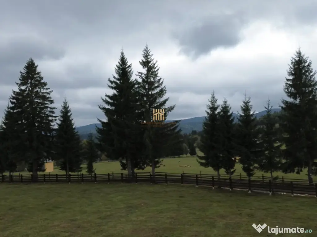 Teren 2804 mp, la munte! In Bucovina – Fundu Moldovei! 