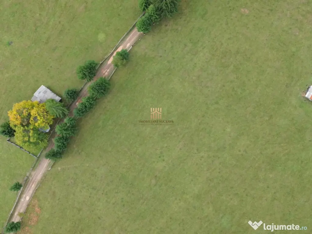 Teren 2804 mp, la munte! In Bucovina – Fundu Moldovei! 