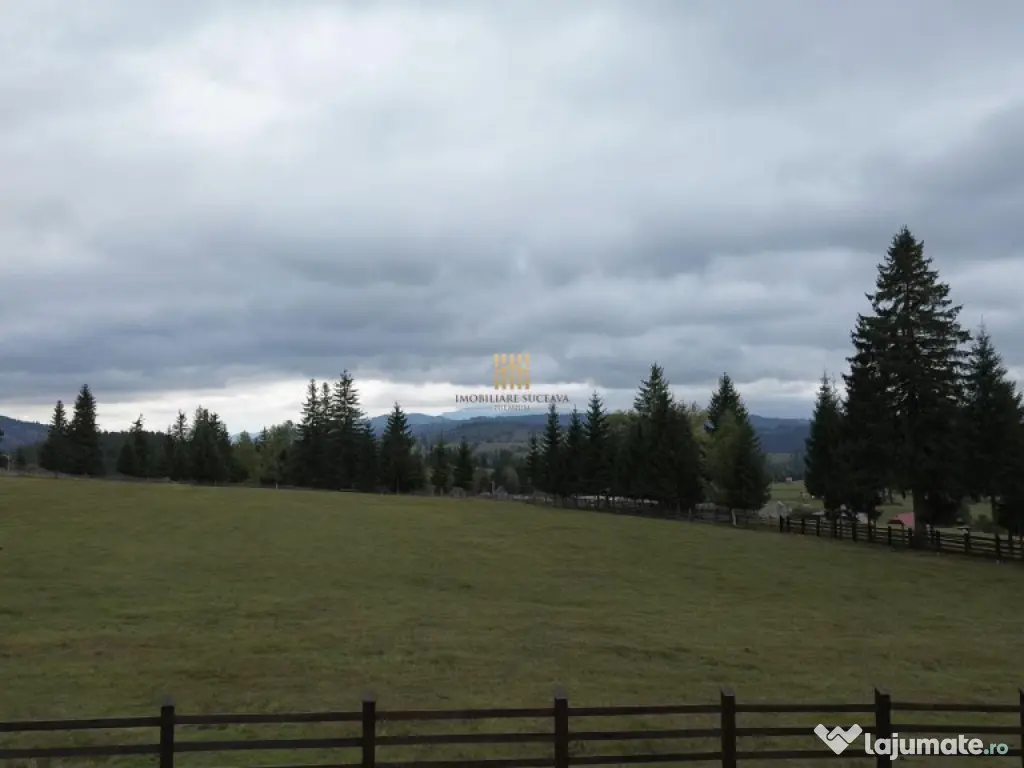 Teren 2804 mp, la munte! In Bucovina – Fundu Moldovei! 