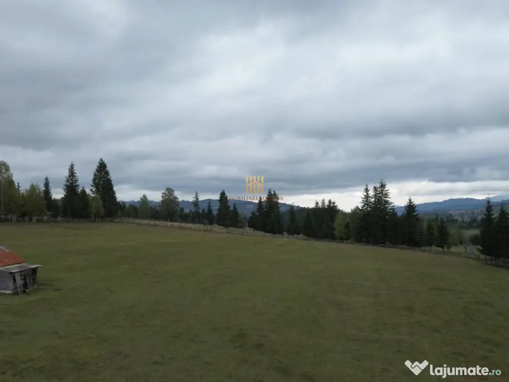 Teren 2804 mp, la munte! In Bucovina – Fundu Moldovei! 